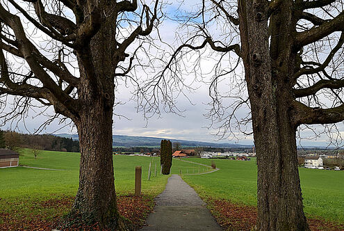 Anfangen – neue Wege gehen…