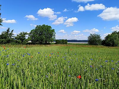 Ferienzeit – Zeit zum Auftanken