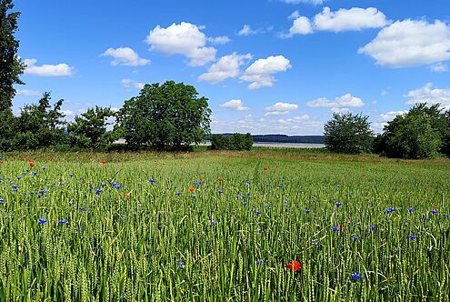 Ferienzeit – Zeit zum Auftanken